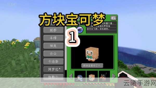 我的世界手游新揭秘，这个碗究竟有何神奇用途？探索无限创意的方块世界！
