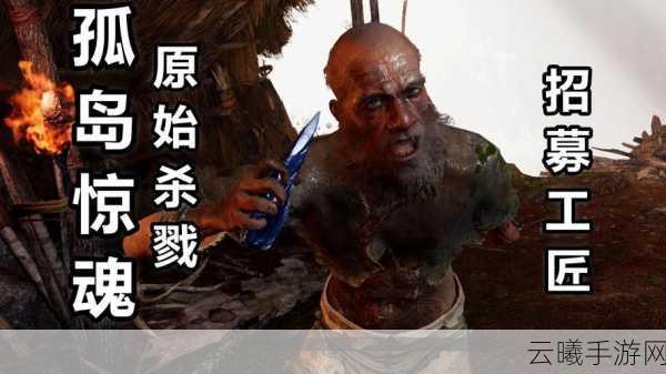 孤岛惊魂3致富秘籍，迅速摆脱贫困线，探索无限乐趣！