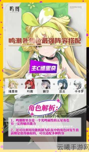 鸣潮最强阵容搭配攻略，解锁战斗新境界的秘籍