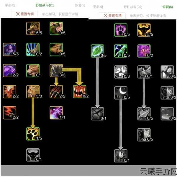 魔兽世界手游化进程揭秘，换代理背后的原因及趣味玩法前瞻