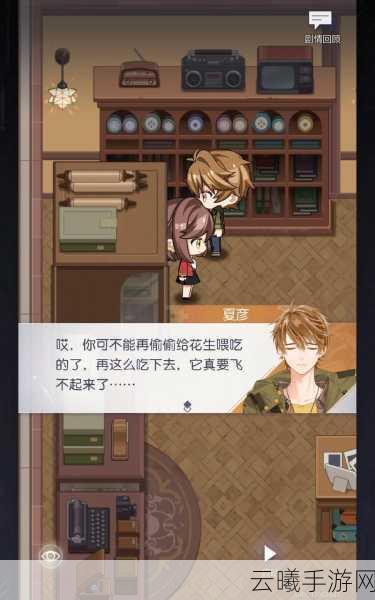 未定事件簿家装大作战,全面攻略与趣味玩法揭秘