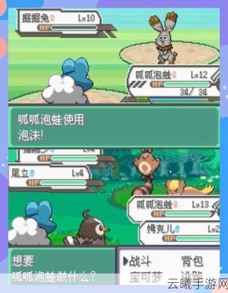 口袋妖怪次元GO,启程探索未知世界的奇幻冒险之旅