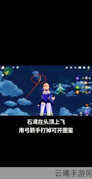 原神全飞禽类小动物捕捉指南,探索提瓦特的天际线