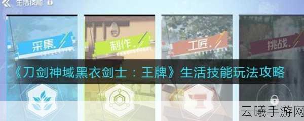 刀剑神域黑衣剑士王牌能否搬砖?深度解析及趣味玩法介绍