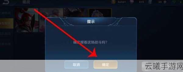 王者荣耀观战系统详解，让好友见证你的荣耀时刻，探索更多趣味玩法！