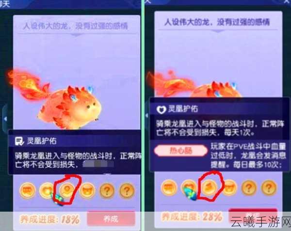梦幻西游手游,详解如何设置自动下飞行祥瑞及趣味玩法探索