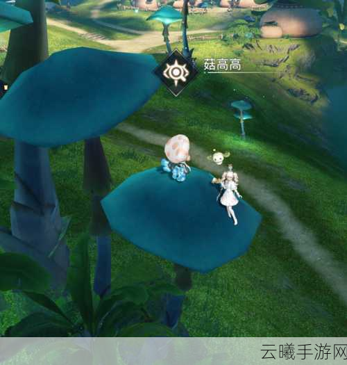 天谕手游寻药之人任务攻略,解锁神秘剧情,探索奇幻冒险之旅