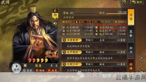 三国志战略版法正技能搭配与趣味玩法全解析