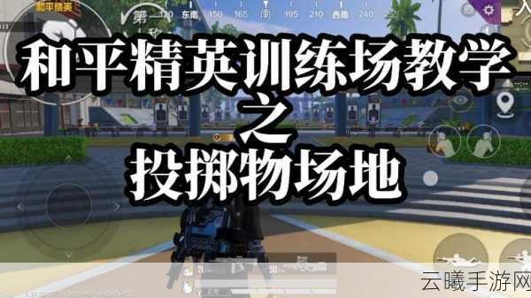 和平精英掷点功能大揭秘，趣味玩法与策略结合的新体验