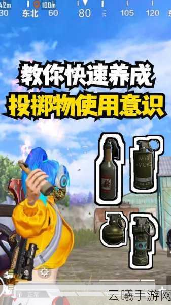 和平精英掷点功能大揭秘,趣味玩法与策略结合的新体验