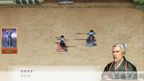 太阁立志传5 DX手游资讯,轻松调整分辨率,尽享战国风云