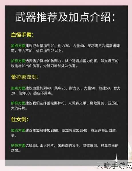 艾尔登法环魔武双修加点攻略，打造全能战士的秘籍！