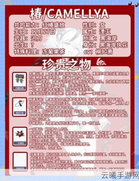 非匿名指令椿纹章搭配攻略，解锁最强阵容与策略深度解析