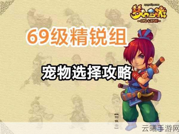 梦幻西游手游85级宠物选择全攻略,打造你的专属战斗伙伴