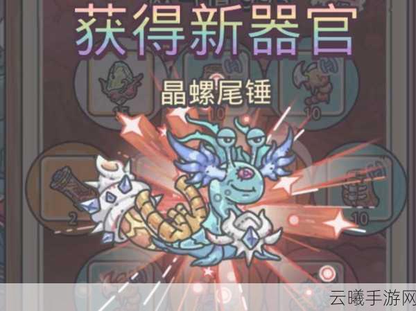 最强蜗牛手游资讯，揭秘阴阳鱼的神秘用法与趣味玩法