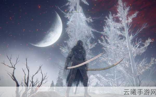 艾尔登法环竞技场模式深度解析,策略与技巧的终极较量