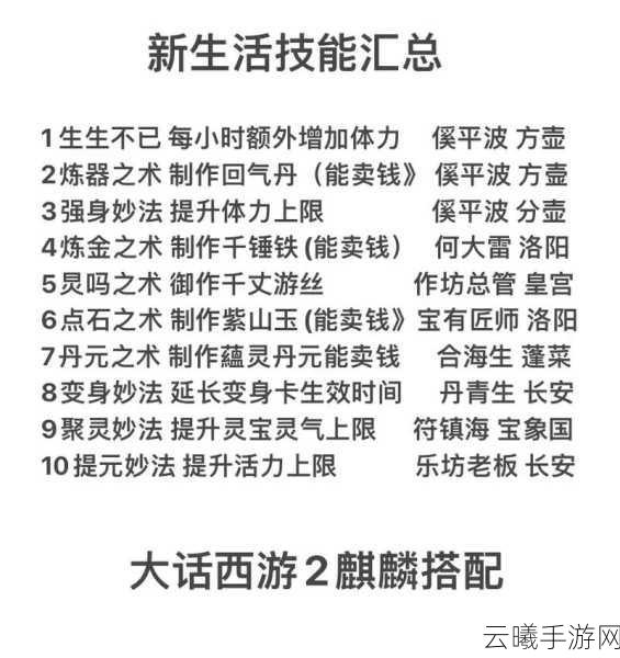 大话西游2手游职业强度解析，探寻最强职业与趣味玩法