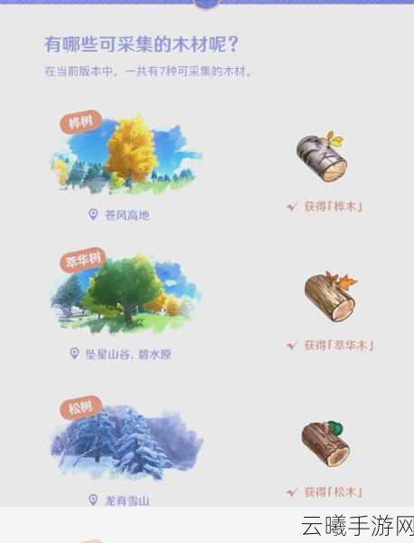 原神家园图纸套装获取攻略,全方位指南揭秘图纸获取途径及趣味玩法探索
