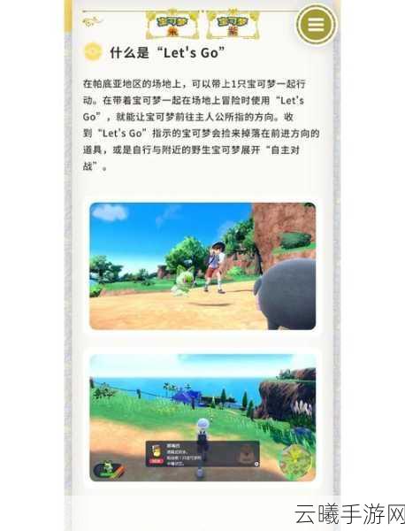 宝可梦朱紫突击背心购买攻略及趣味玩法揭秘