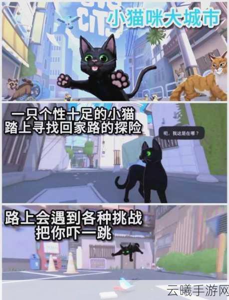 非生物因素手游Steam获好评如潮,好评率高达96%,探索自然法则下的奇幻冒险!
