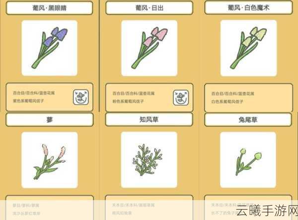 旅行青蛙语言设置攻略，全面解析游戏中文设置步骤及趣味玩法揭秘