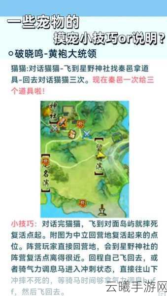 剑网3清茗小龟密宗宝图碎片全攻略，解锁萌宠奇遇之旅