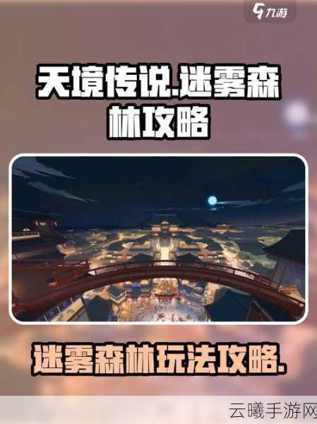 迷雾森林橙光游戏深度攻略，解锁神秘森林的奇幻之旅