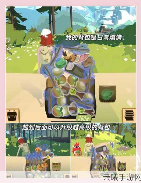 边境之旅，贵重物品安全存放与选址攻略全揭秘，探索未知世界的趣味玩法！