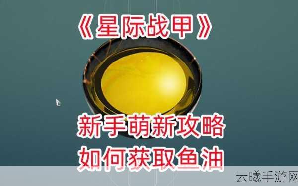 星际战甲鱼油大量刷取攻略及趣味玩法揭秘