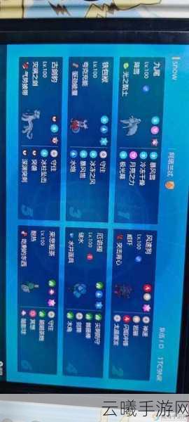 宝可梦寻宝探险新手技巧全揭秘,探险之旅的制胜法宝