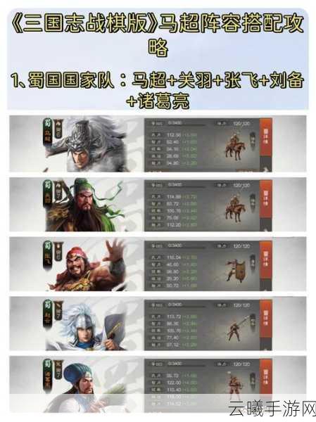 三国志·战棋版深度解析,群雄阵容搭配与趣味玩法全揭秘