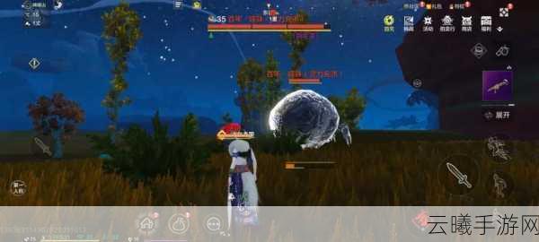 探索妄想山海,揭秘熊蜂刺获取全攻略,开启奇幻冒险之旅