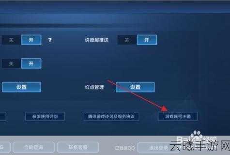 王者荣耀玩家必看，如何删除其他区账号及趣味玩法揭秘