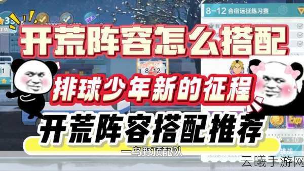 排球少年手游国服阵容搭配与趣味玩法全解析