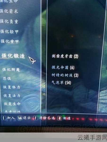 上古卷轴5手游资讯，揭秘附魔系统，打造专属神器之旅
