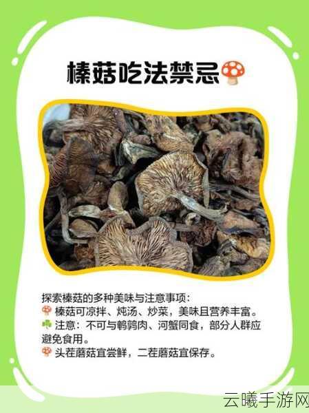 小森生活榛菇位置全解析，寻找与采摘攻略及趣味玩法揭秘