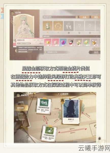 无限暖暖心愿金蔷薇奇迹套装闪耀登场,解锁全新获取秘籍!