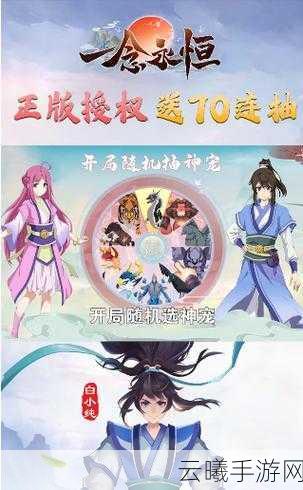 一念永恒，少年追梦录手游攻略大揭秘，寒门真灵养成全解析及趣味玩法探索