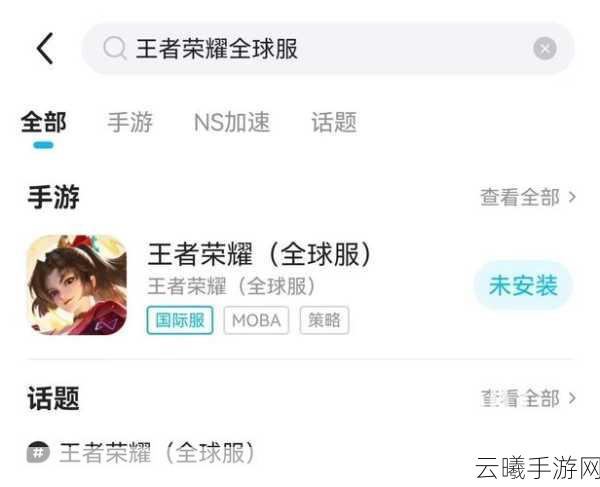 王者荣耀单机模式闪退全面解决方案及趣味玩法揭秘