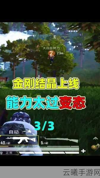 和平精英金刚结晶获取全攻略及功能深度解析，助你称霸战场，成就强者之路