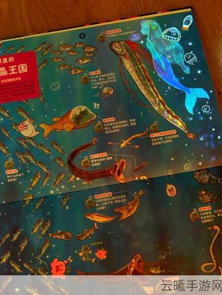 创造与魔法海面泡泡奇观揭秘，探索无限想象的新玩法！