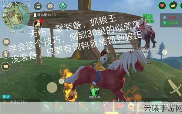 创造与魔法沙漠狼王位置揭秘及趣味玩法探索