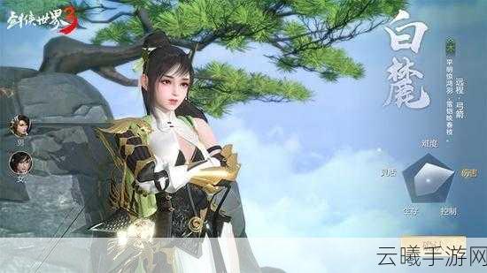 剑侠世界3白麓护法选择全攻略,打造极致输出角色