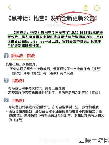 黑神话，悟空Steam共享玩法全揭秘，畅享西游新冒险！