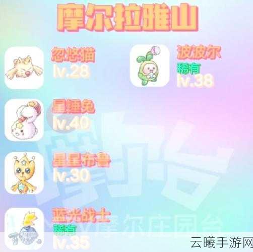 摩尔庄园精灵阵容保存攻略及趣味玩法揭秘