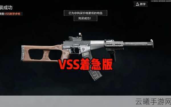 暗区突围VSS改枪任务全攻略，打造你的专属神器