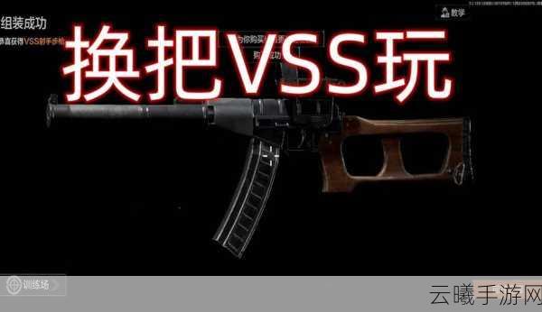 暗区突围VSS改枪任务全攻略，打造你的专属神器