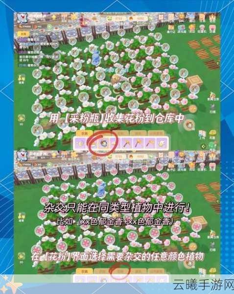 摩尔庄园手游攻略,轻松解锁番茄种植秘籍与趣味玩法大揭秘