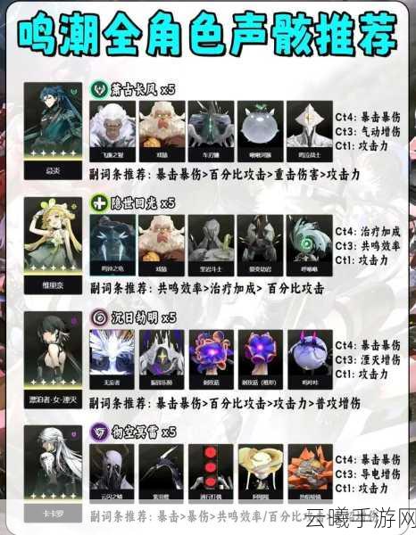 鸣潮白芷声骸选择指南，解锁独特战斗风格，探索无限可能