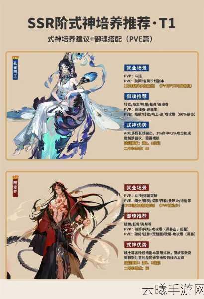 阴阳师深度剖析,吸血姬御魂搭配秘籍与顶尖策略推荐